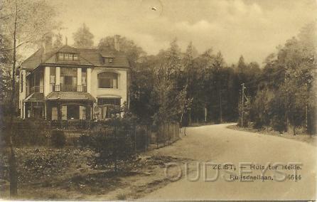 Ruijsd-1910-001.jpg - Het Pand Vijverzicht aan de Ruijsdaellaan 5. Het werd in 1905 gebouwd tegenover het keienhuisje in het Blookerpark. Opname van 1905.