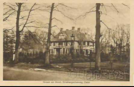 Drieb.weg-1939-009.jpg - Huize “Groen en Hout” aan de Driebergseweg (nr. 3c). Het werd bewoond door Ch. Calkoen, oud directeur van de levensverzekeringsmaatschappij “Kosmos”. Foto gemaakt in 1939.